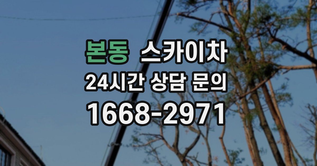본동 스카이차