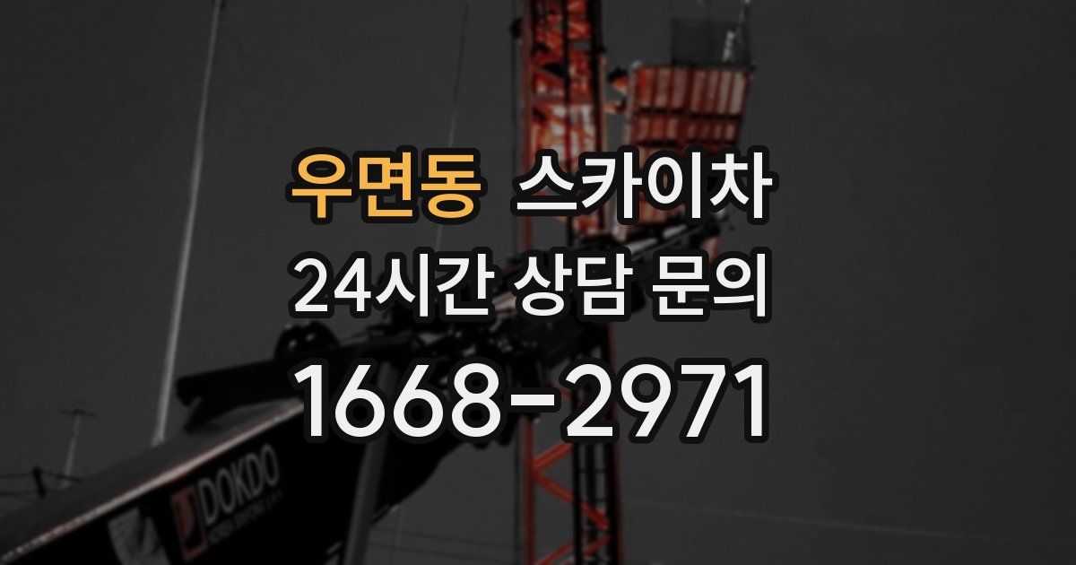 우면동 스카이차