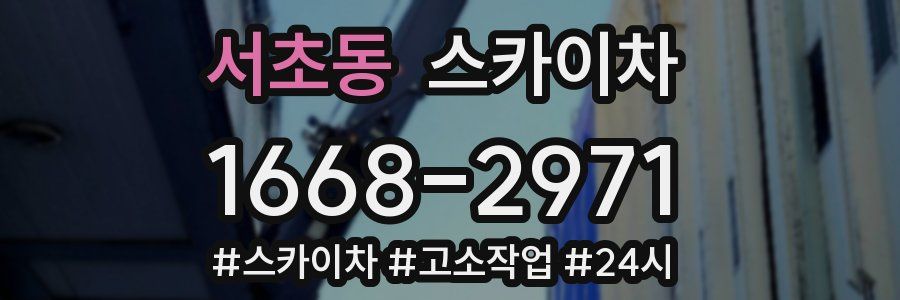 서초동 스카이차