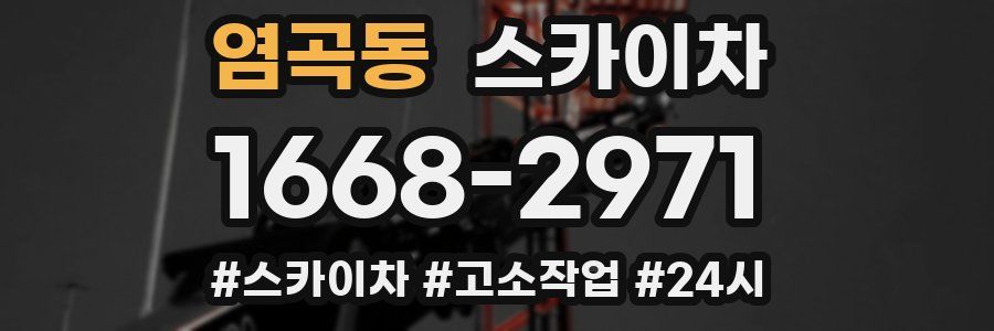 염곡동 스카이차