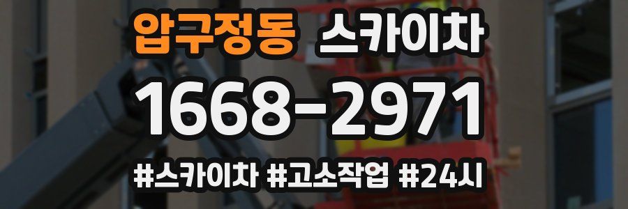 압구정동 스카이차