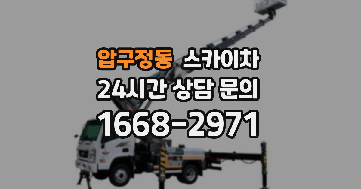 압구정동 스카이차