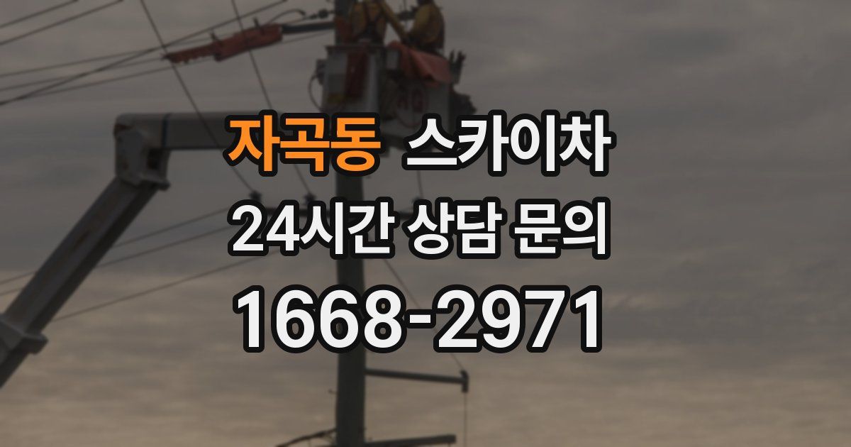 자곡동 스카이차