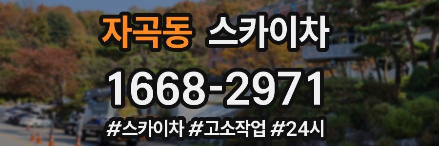 자곡동 스카이차