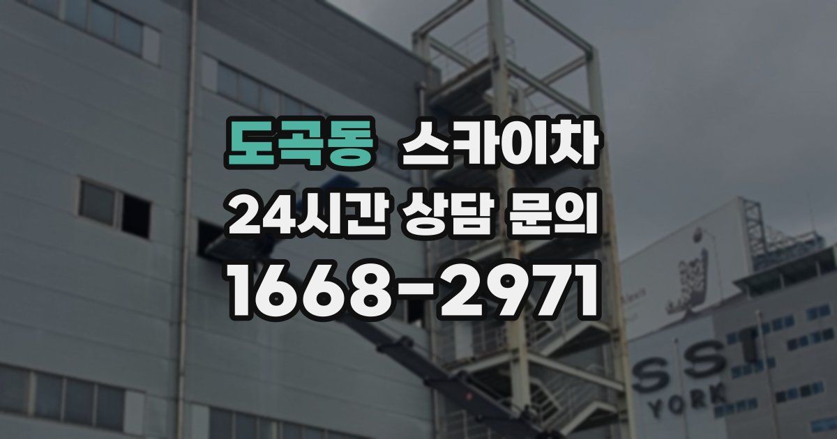 도곡동 스카이차