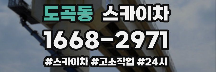 도곡동 스카이차