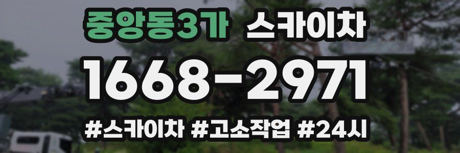중앙동3가 스카이차