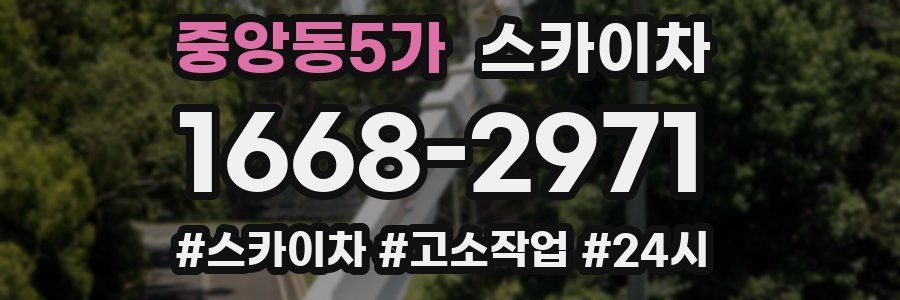 중앙동5가 스카이차