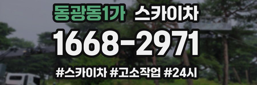 동광동1가 스카이차