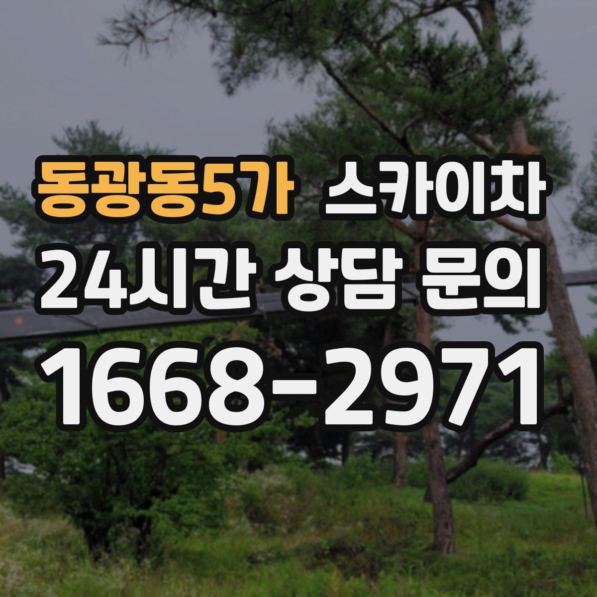 동광동5가 스카이차