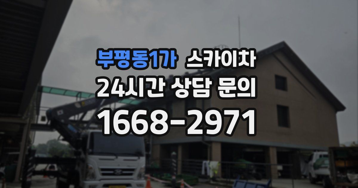 부평동1가 스카이차