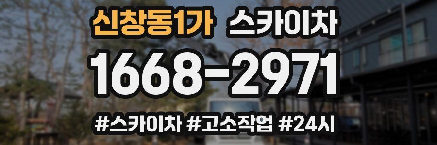 신창동1가 스카이차