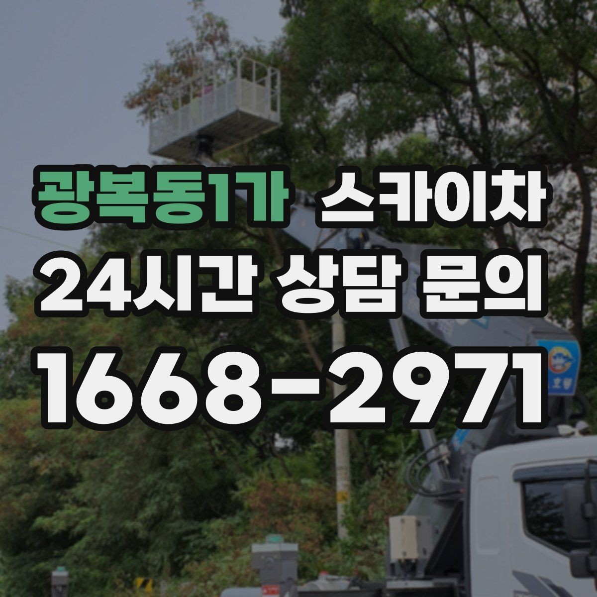 광복동1가 스카이차 나무 가지 전정 작업에 활용하는 방법