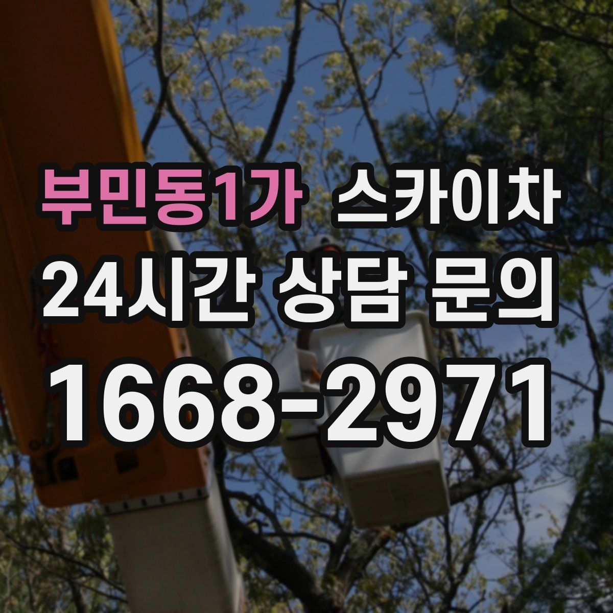 부민동1가 스카이차