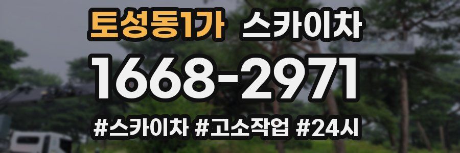 토성동1가 스카이차