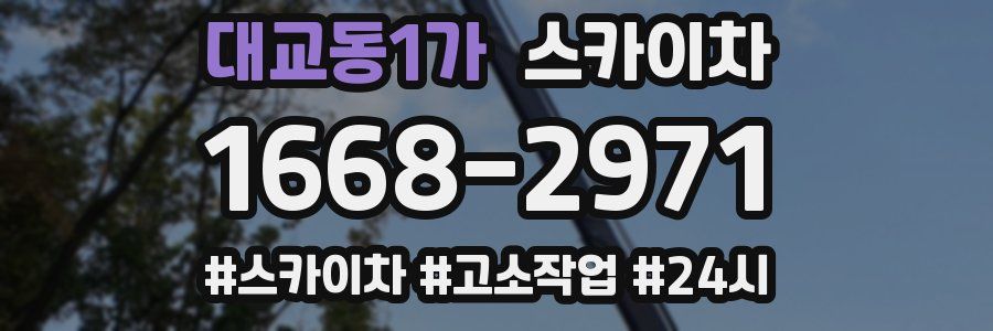 대교동1가 스카이차