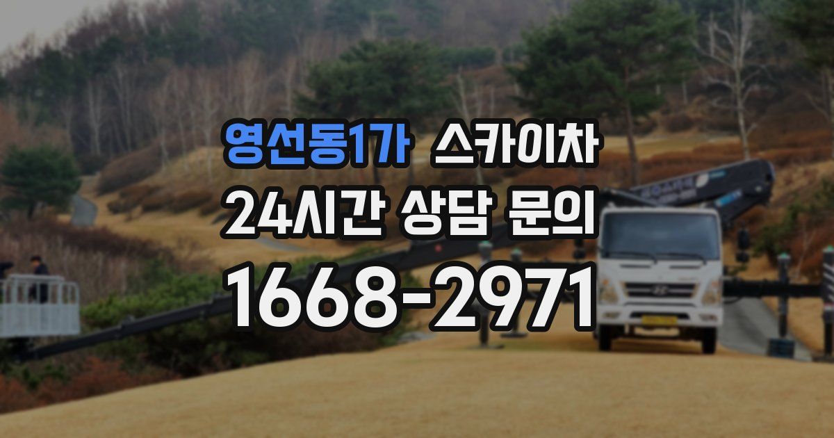 영선동1가 스카이차