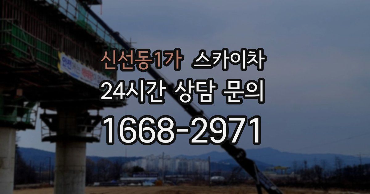 신선동1가 스카이차