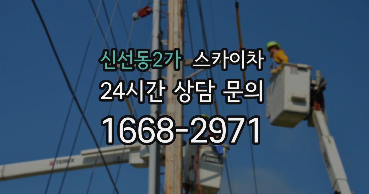 신선동2가 스카이차