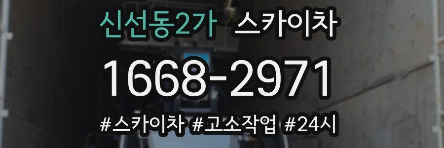 신선동2가 스카이차