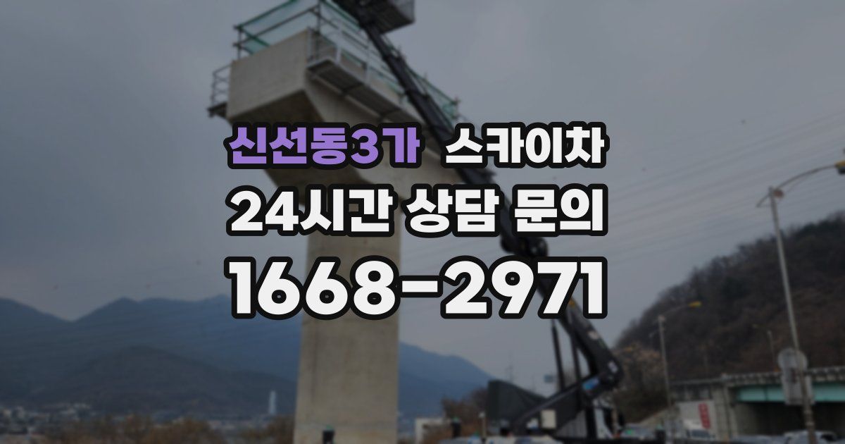 신선동3가 스카이차