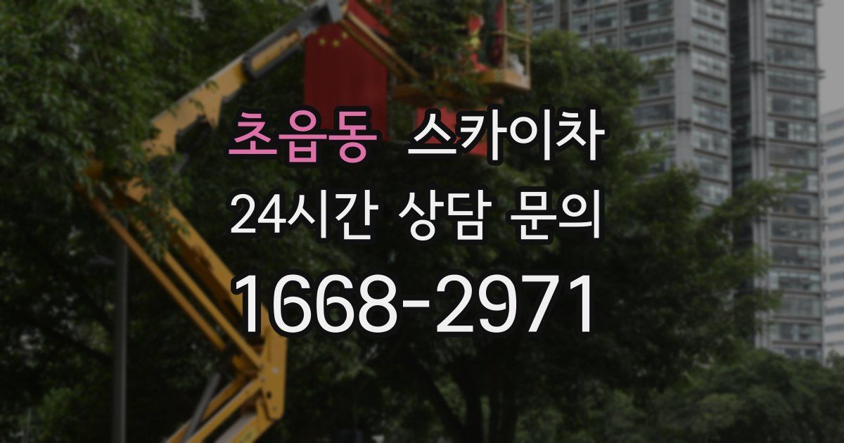 초읍동 스카이차
