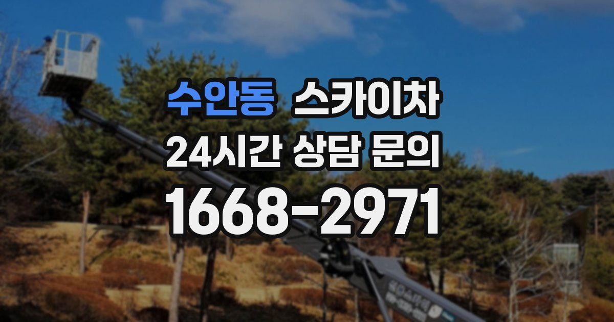 수안동 스카이차