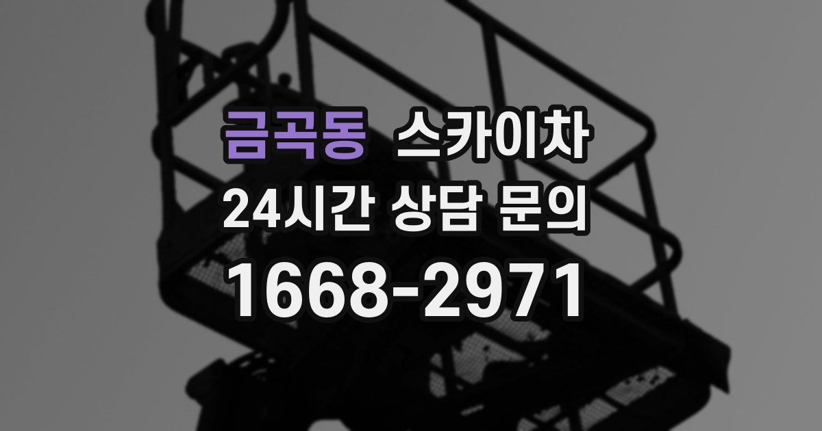 금곡동 스카이차