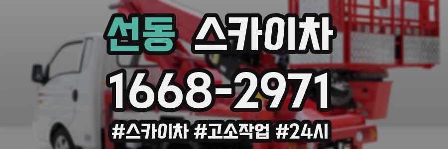 선동 스카이차