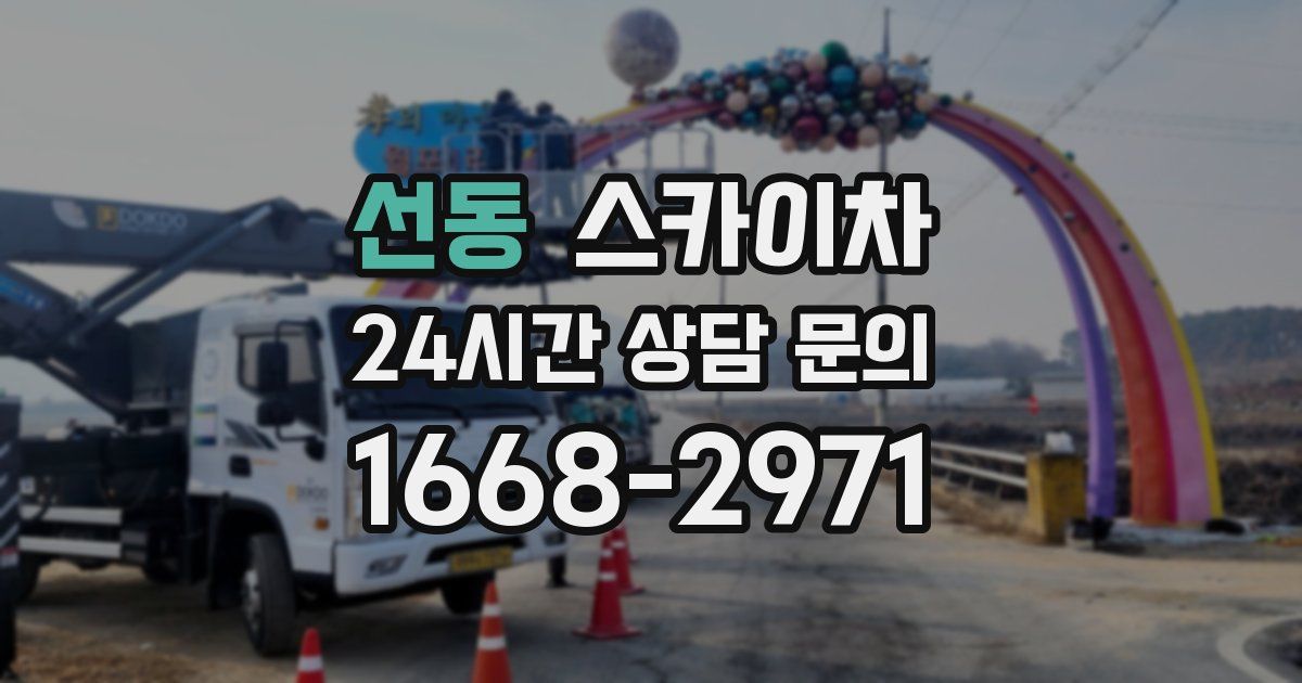 선동 스카이차