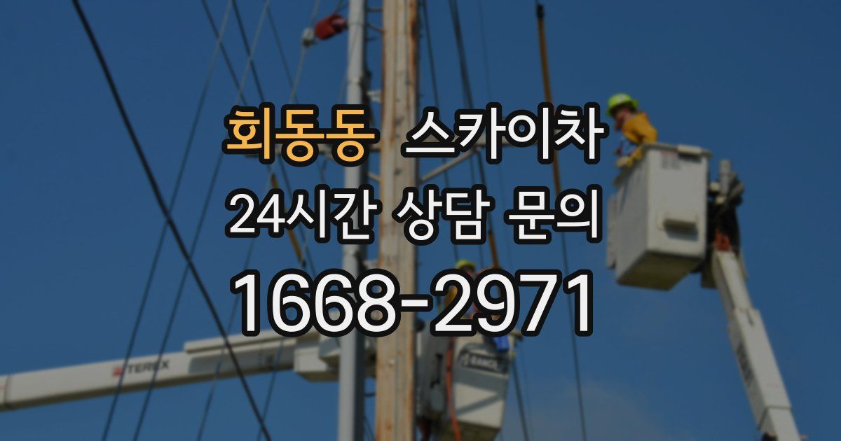 회동동 스카이차