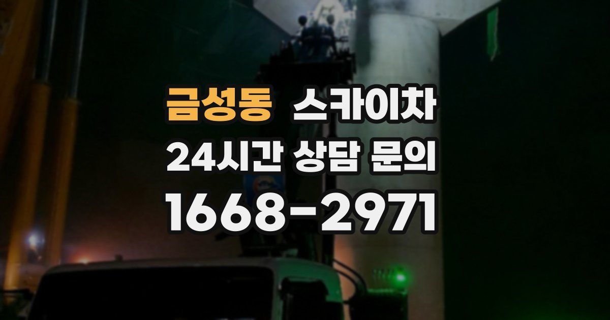 금성동 스카이차