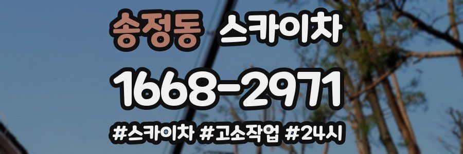 송정동 스카이차