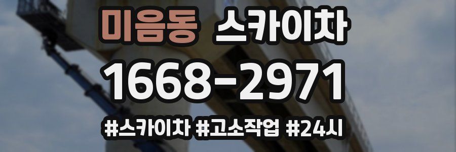미음동 스카이차