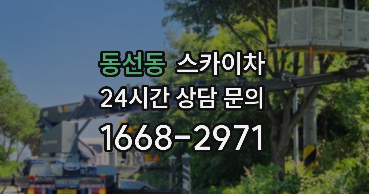 동선동 스카이차