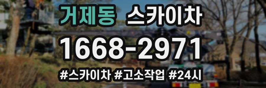 거제동 스카이차