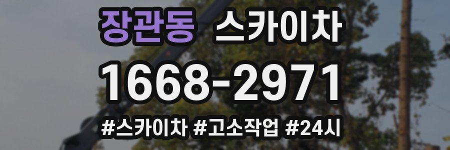 장관동 스카이차