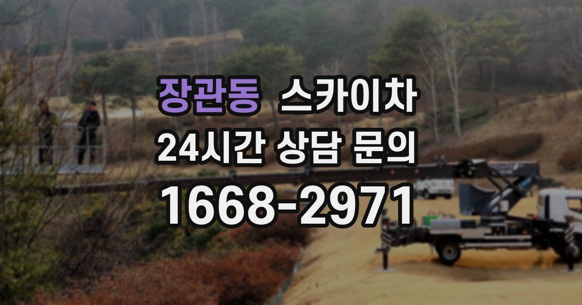 장관동 스카이차