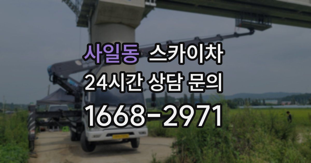 사일동 스카이차