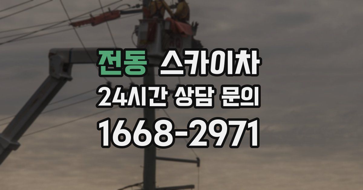 전동 스카이차