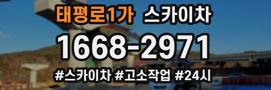 태평로1가 스카이차