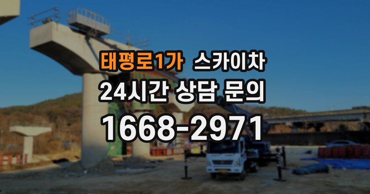 태평로1가 스카이차
