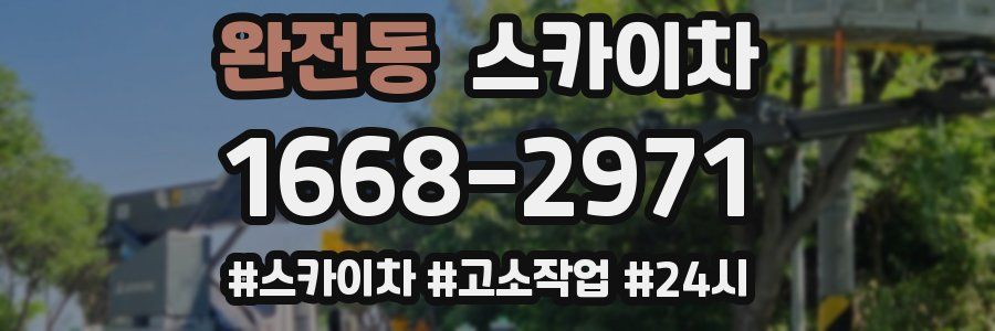 완전동 스카이차