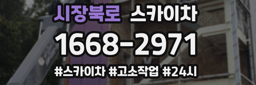 시장북로 스카이차