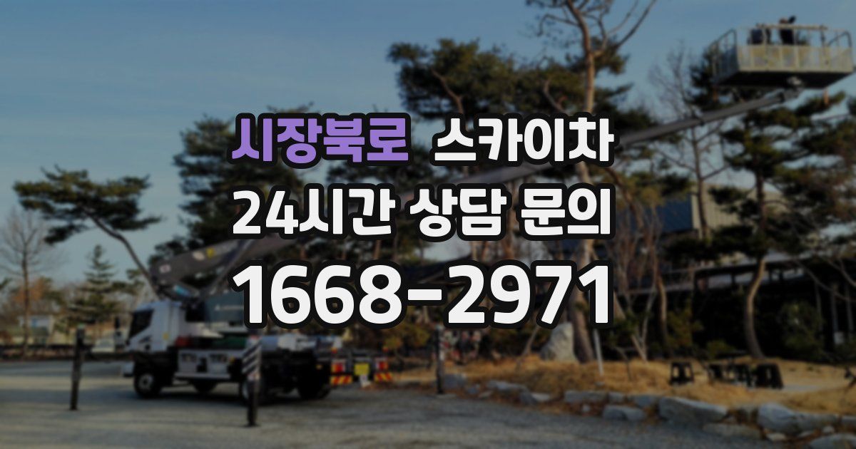 시장북로 스카이차