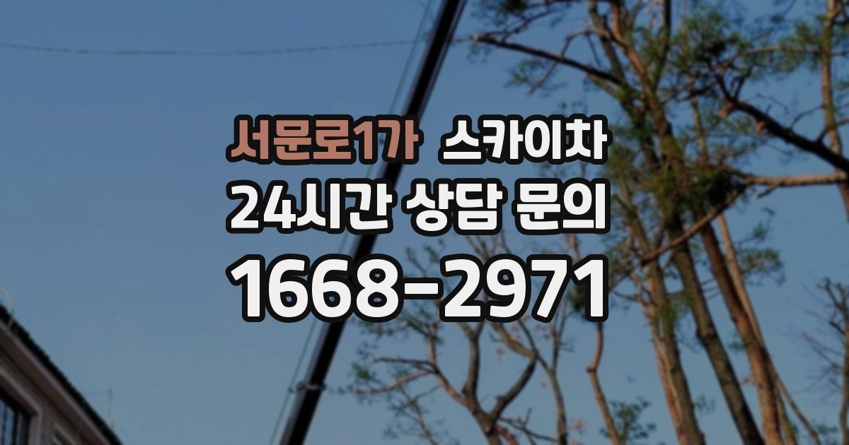 서문로1가 스카이차