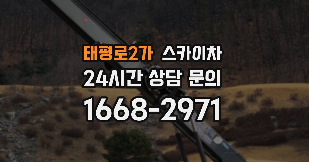 태평로2가 스카이차
