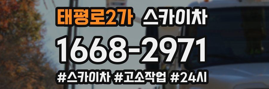 태평로2가 스카이차