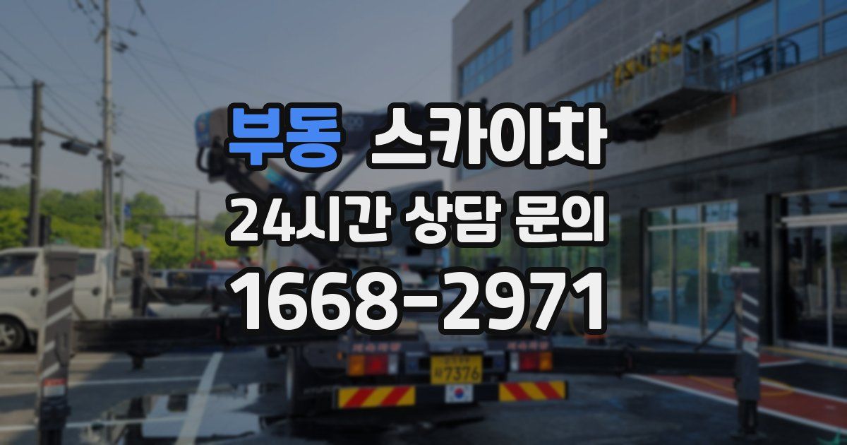 부동 스카이차