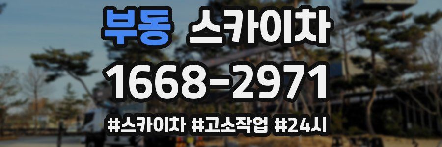 부동 스카이차